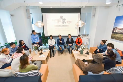 冰雪交融，文化互鑒 2020年冬奧文化交流會(huì)公益活動(dòng)在京成功舉行